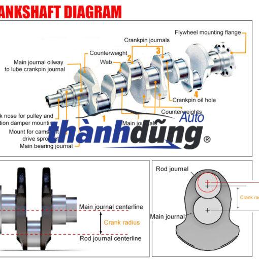 TRỤC CƠ FORD RANGER 2011