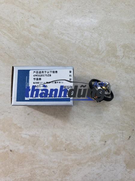 VAN HẰNG NHIỆT FORD FIESTA 1.6