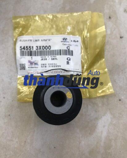 CAO SU CÀNG A NHỎ HYUNDAI ELANTRA 2013