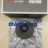 PISTON THACO OLLIN 700B